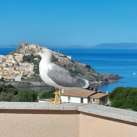Bella Vista Daire *